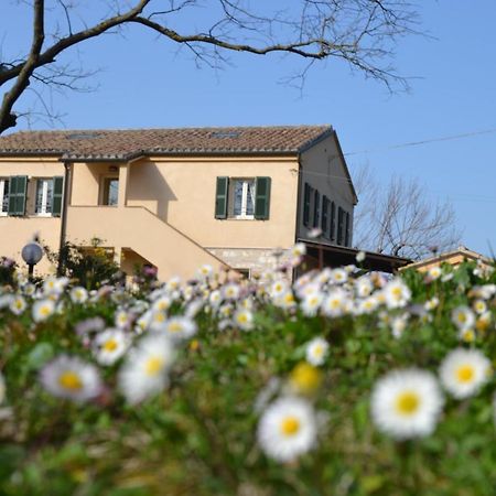 Il Mandorlo - Agriturismo E Azienda Agricola Ferrato Ancona Dış mekan fotoğraf