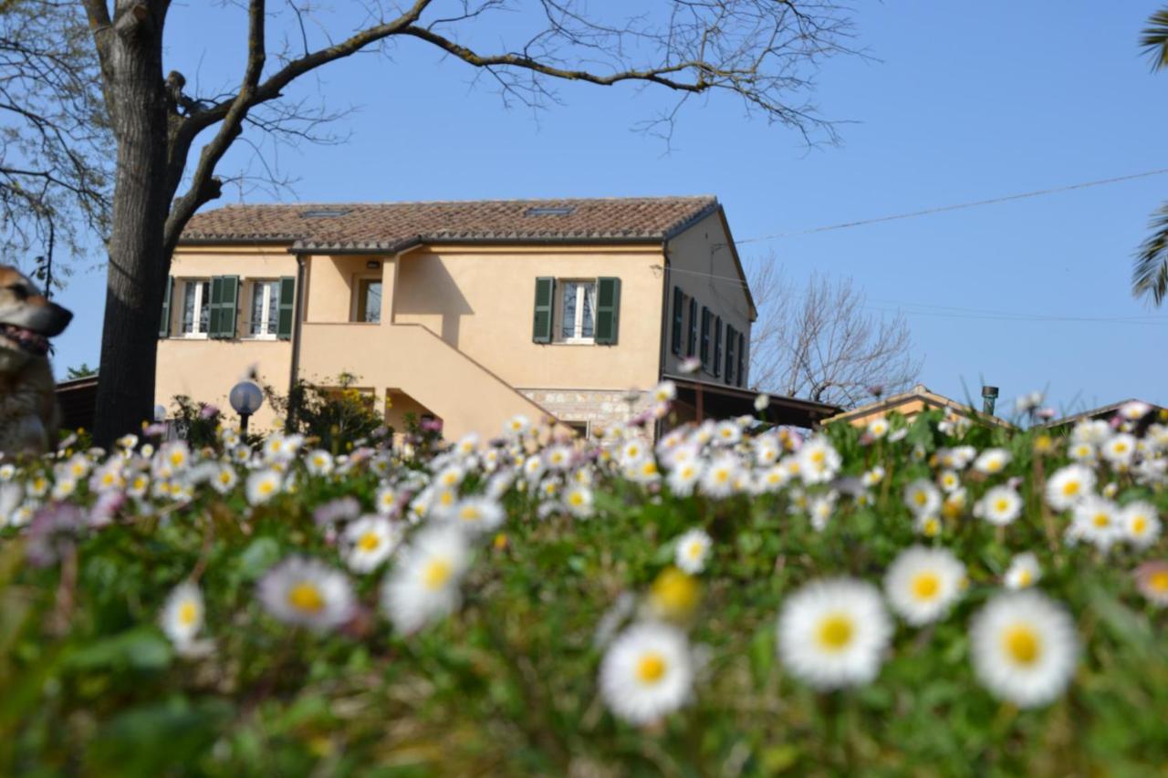 Il Mandorlo - Agriturismo E Azienda Agricola Ferrato Ancona Dış mekan fotoğraf